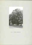 Ewidencja parkowa, skan nr 14