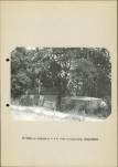 Ewidencja parkowa, skan nr 22