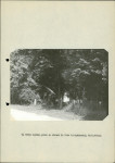 Ewidencja parkowa, skan nr 24
