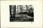Ewidencja parkowa, skan nr 34