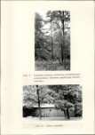 Ewidencja parkowa, skan nr 18