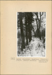 Ewidencja parkowa, skan nr 18