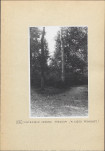 Ewidencja parkowa, skan nr 20