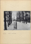 Ewidencja parkowa, skan nr 26