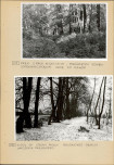 Ewidencja parkowa, skan nr 21