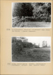 Ewidencja parkowa, skan nr 23