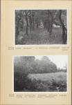 Ewidencja parkowa, skan nr 22