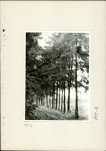 Ewidencja parkowa, skan nr 26