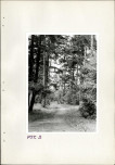 Ewidencja parkowa, skan nr 23