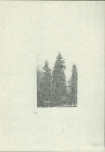 Ewidencja parkowa, skan nr 23