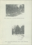 Ewidencja parkowa, skan nr 25