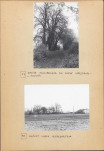 Ewidencja parkowa, skan nr 24