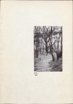 Ewidencja parkowa, skan nr 24