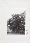 Ewidencja parkowa, skan nr 21