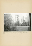 EP - Ewidencja parkowa, skan nr 20
