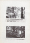 Ewidencja parkowa, skan nr 17