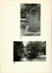 Ewidencja parkowa, skan nr 28