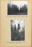 Ewidencja parkowa, skan nr 24