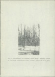 Ewidencja parkowa, skan nr 25