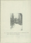 Ewidencja parkowa, skan nr 26