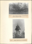 Ewidencja parkowa, skan nr 14
