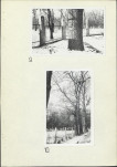 Ewidencja parkowa, skan nr 17