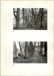 Ewidencja parkowa, skan nr 23