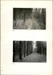 Ewidencja parkowa, skan nr 30