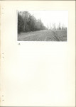 Ewidencja parkowa, skan nr 31