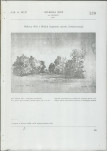 Ewidencja parkowa, skan nr 21