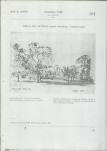 Ewidencja parkowa, skan nr 23