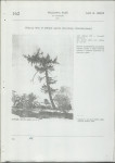 Ewidencja parkowa, skan nr 24