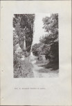 Ewidencja parkowa, skan nr 56