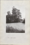 Ewidencja parkowa, skan nr 57