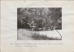 Ewidencja parkowa, skan nr 58