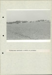Ewidencja parkowa, skan nr 40