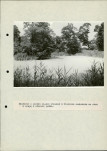 Ewidencja parkowa, skan nr 52