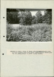 Ewidencja parkowa, skan nr 53