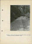 Ewidencja parkowa, skan nr 61
