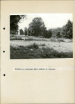 EP - Ewidencja parkowa, skan nr 26