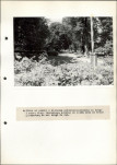 Ewidencja parkowa, skan nr 30