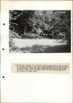 Ewidencja parkowa, skan nr 31