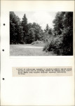 Ewidencja parkowa, skan nr 33