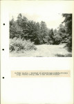 Ewidencja parkowa, skan nr 34