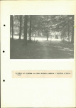 Ewidencja parkowa, skan nr 35
