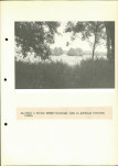 Ewidencja parkowa, skan nr 40