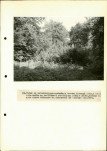 Ewidencja parkowa, skan nr 40
