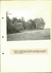 EP - Ewidencja parkowa, skan nr 33