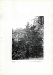 Ewidencja parkowa, skan nr 26