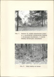 Ewidencja parkowa, skan nr 18